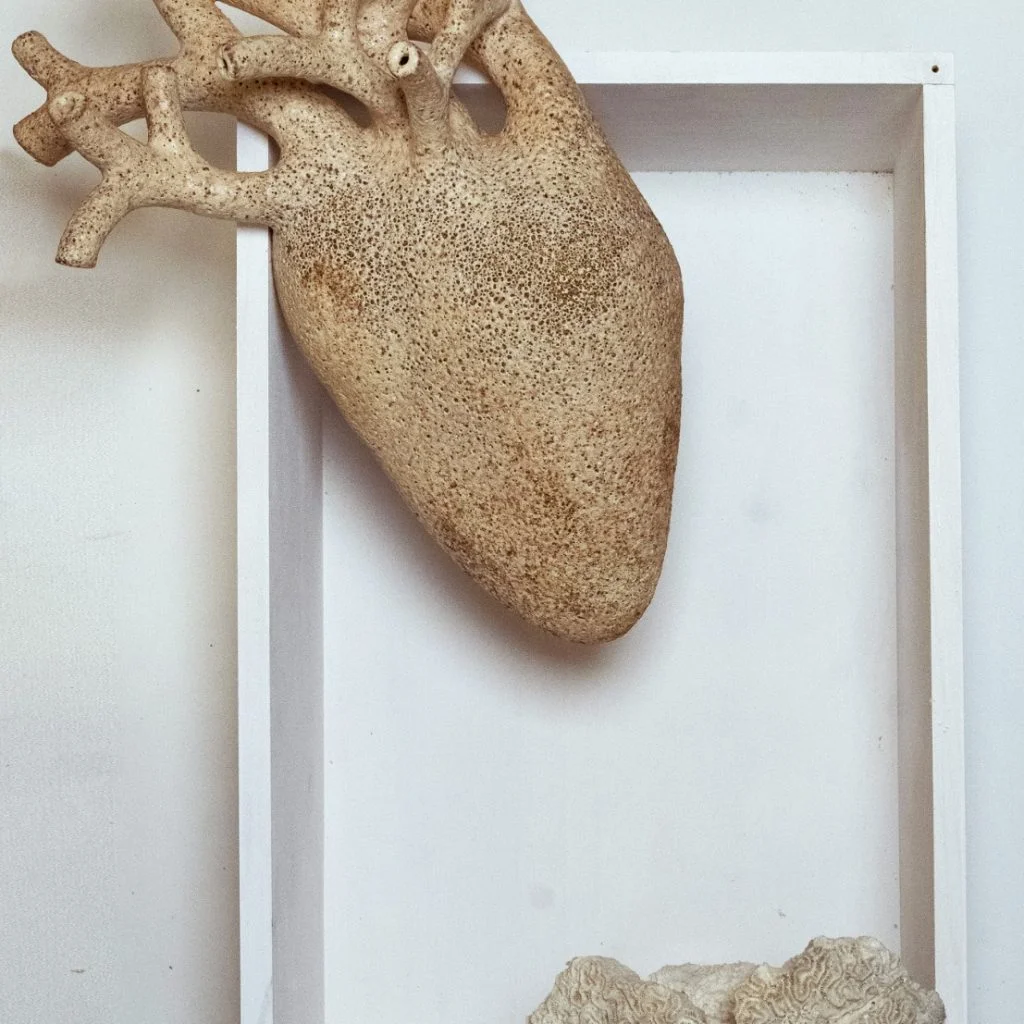 Ana Rosenzweig Part 1