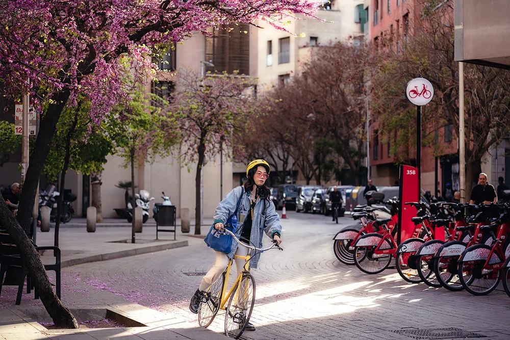 Jorge Suer Colorfull journey 20x295cm2023