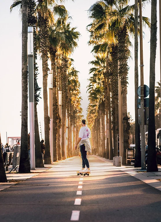 Jorge Suner Follow the sun 30x215 cm 2023