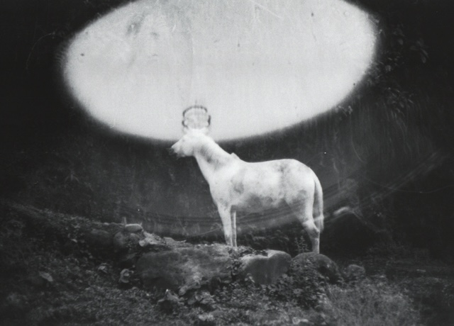 Manuel Enríquez Artist