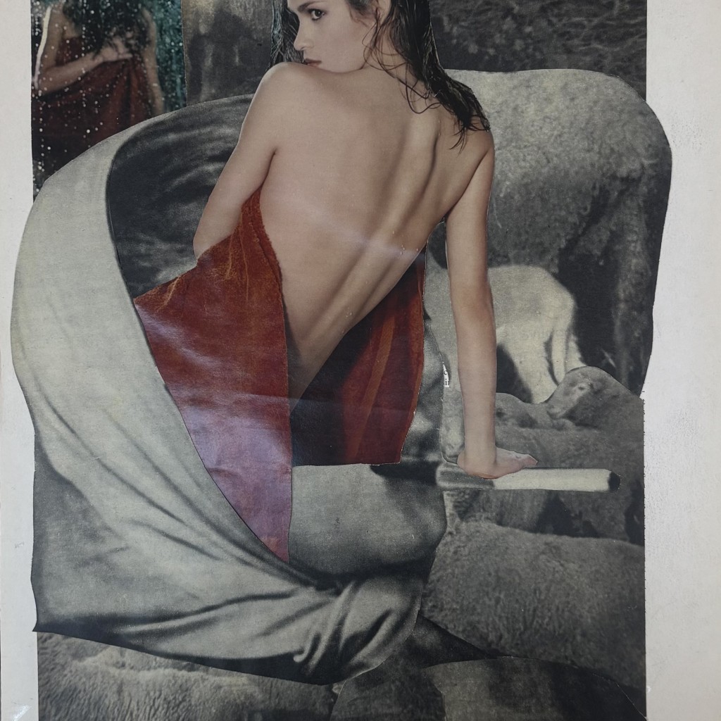 Collage Volage Red Sheep